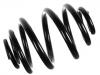 Fahrwerksfeder Coil Spring:105821