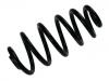 Fahrwerksfeder Coil Spring:8E0 511 115 CR