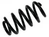 Muelle de chasis Coil Spring:8E0 411 105 CH