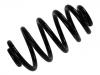 Fahrwerksfeder Coil Spring:8E0 511 115 DJ