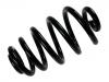 Fahrwerksfeder Coil Spring:8E0 511 115 DK