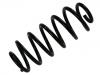 венцивидная пружина Coil Spring:8N0 511 115 B