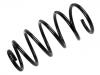 Coil Spring:1J0 411 105 CA