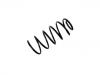 Fahrwerksfeder Coil Spring:96454551