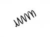 Fahrwerksfeder Coil Spring:48131-B2090-000