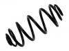 Fahrwerksfeder Coil Spring:51751800