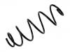 Fahrwerksfeder Coil Spring:50701019