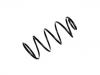 Coil Spring:1371749