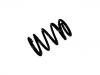 венцивидная пружина Coil Spring:55350-4D250