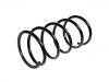 圈状弹簧 Coil Spring:B25G-34-011B