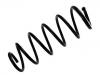 Fahrwerksfeder Coil Spring:5002.SL