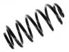 Muelle de chasis Coil Spring:RKB101430