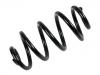 Muelle de chasis Coil Spring:55020-EY16A