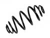 Fahrwerksfeder Coil Spring:93191005