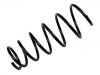 Coil Spring:48131-74020