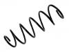 Fahrwerksfeder Coil Spring:30639173