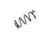 Fahrwerksfeder Coil Spring:48131-2S370