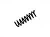 Coil Spring:212 324 01 04