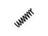 Ressort hélicoidal Coil Spring:212 324 04 04