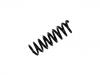 Fahrwerksfeder Coil Spring:212 324 05 04