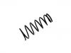 Fahrwerksfeder Coil Spring:48131-b1100