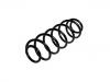 Fahrwerksfeder Coil Spring:1342461