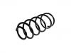 Fahrwerksfeder Coil Spring:4401618