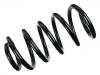 Coil Spring:55330-3J400