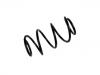 Muelle de chasis Coil Spring:54010-JG71D