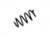 Muelle de chasis Coil Spring:55020-1KA0C