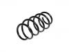 Coil Spring:9201025