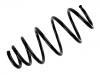 Fahrwerksfeder Coil Spring:312418