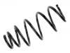 Fahrwerksfeder Coil Spring:312391