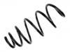 Fahrwerksfeder Coil Spring:312446