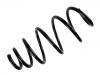 Fahrwerksfeder Coil Spring:312448