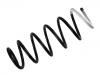 Fahrwerksfeder Coil Spring:5002.XT