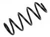 Coil Spring:1K0 411 105 BH