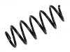 Fahrwerksfeder Coil Spring:1K0 411 105 EH