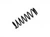 Coil Spring:55020-0F002