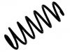 Fahrwerksfeder Coil Spring:5102.N6