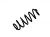 Fahrwerksfeder Coil Spring:48231-0F040