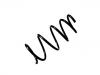 Fahrwerksfeder Coil Spring:48131-0F050