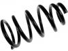 Fahrwerksfeder Coil Spring:48131-0K080