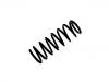 Muelle de chasis Coil Spring:41311-81A50