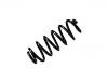 Fahrwerksfeder Coil Spring:1K0 511 115 FL