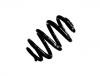 Muelle de chasis Coil Spring:7E0 511 115 F