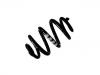 Muelle de chasis Coil Spring:7H5 511 115 P