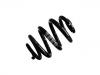 Muelle de chasis Coil Spring:7E0 511 115 B