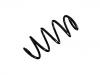 Muelle de chasis Coil Spring:5N0 411 105 AD