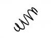 Muelle de chasis Coil Spring:5N0 411 105 T